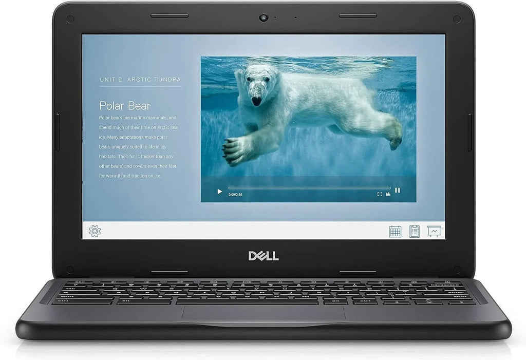 Dell Chromebook 3100 11.6" Laptop Intel Celeron 4GB RAM 16GB eMMC Chrome OS NEW